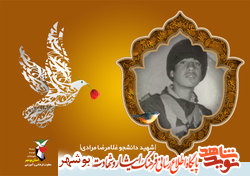 ورود به دانشگاه راهی برای شهادتش شد