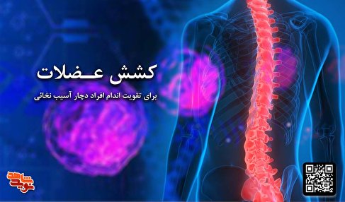 آموزش حرکات کششی ویژه جانبازان دارای آسیب نخاعی