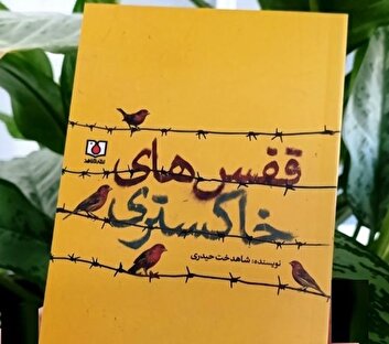 «قفس‌های خاکستری» روایت زندگی‌ بین آزادی و اسارت منتشر شد