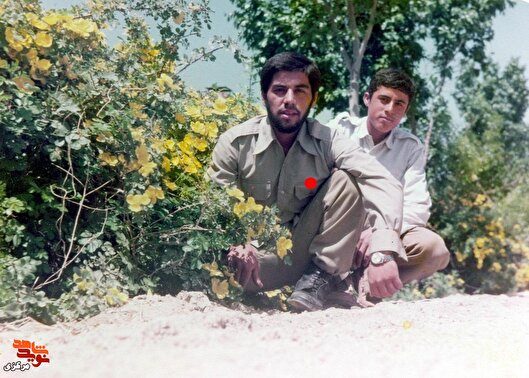 من نیز راهی را انتخاب کردم که دیگر برادرانم برگزیده‌اند