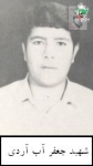 شهید جعفر آب آردی